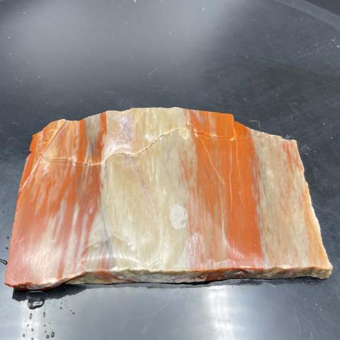 Arizona Rainbow Pet Wood SLAB