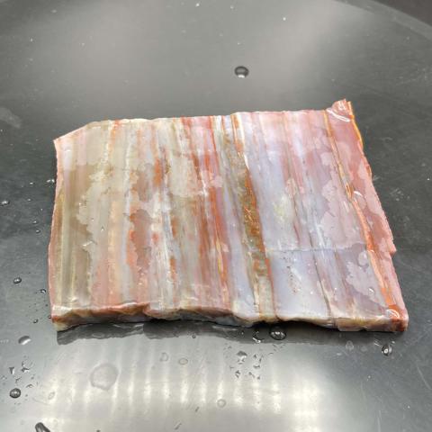 AZ Rainbow Pet Wood SLAB