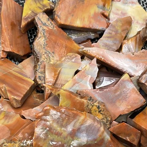 AZ Rainbow Petrified Wood TUMBLERS