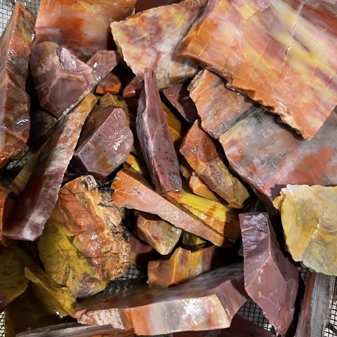 AZ Rainbow Petrified Wood TUMBLERS